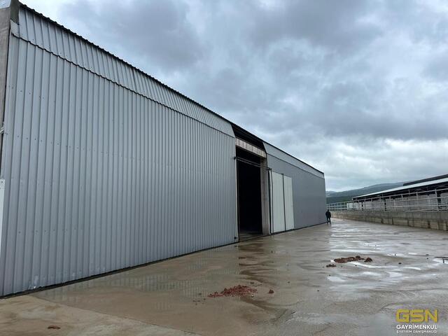 12-GSN GAYRİMENKUL'DEN AVRUPA STANDARTLARINDA RUHSATLI BESİÇİFTLİĞİ